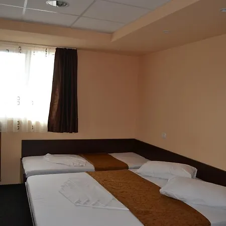 Guest house Casa Gorjeneasca